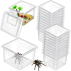Nuanchu boîte d'élevage, terrarium transparent, vue frontale pour observer petits insectes.