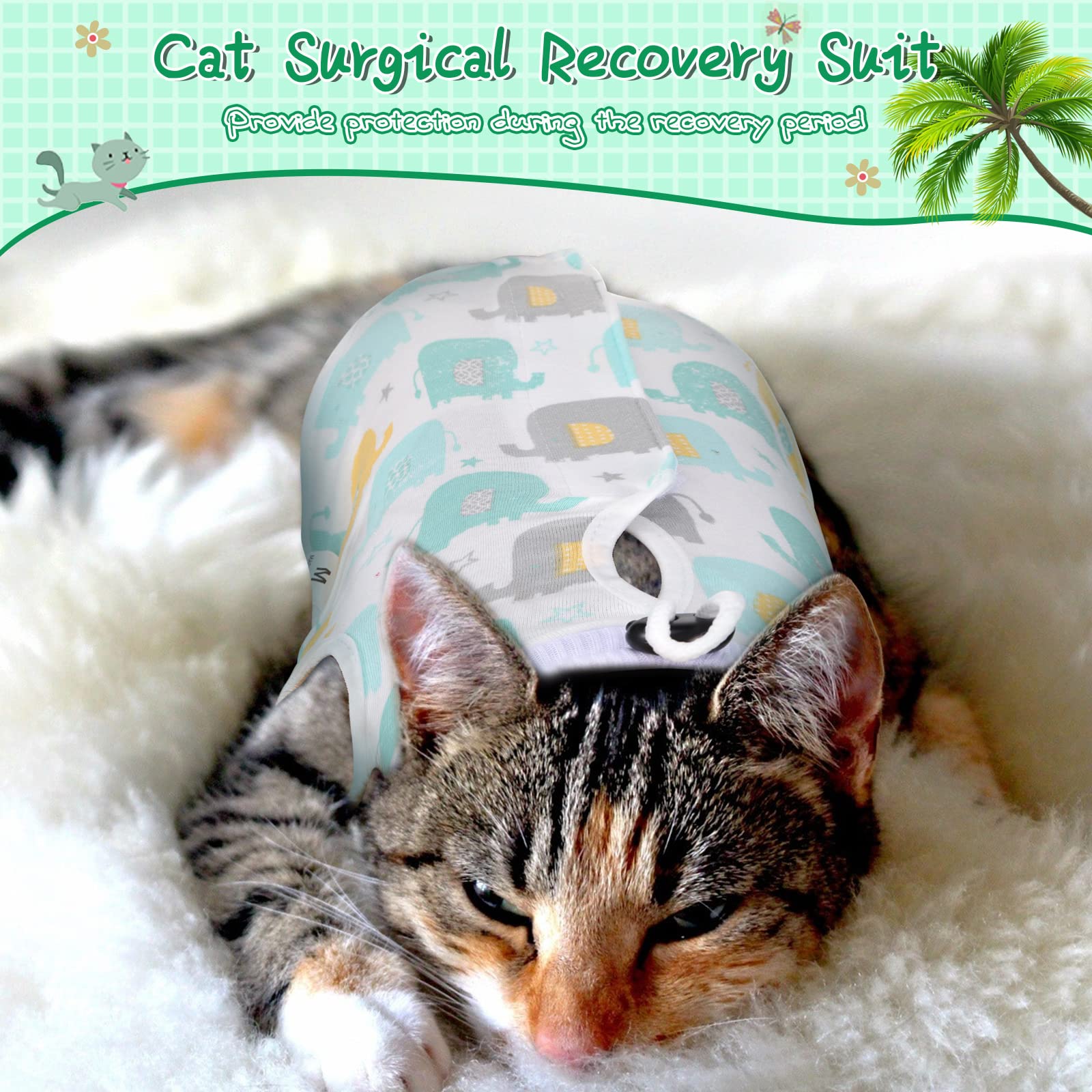 Nuanchu solution quotidiennement pratique pour chats et chiens.