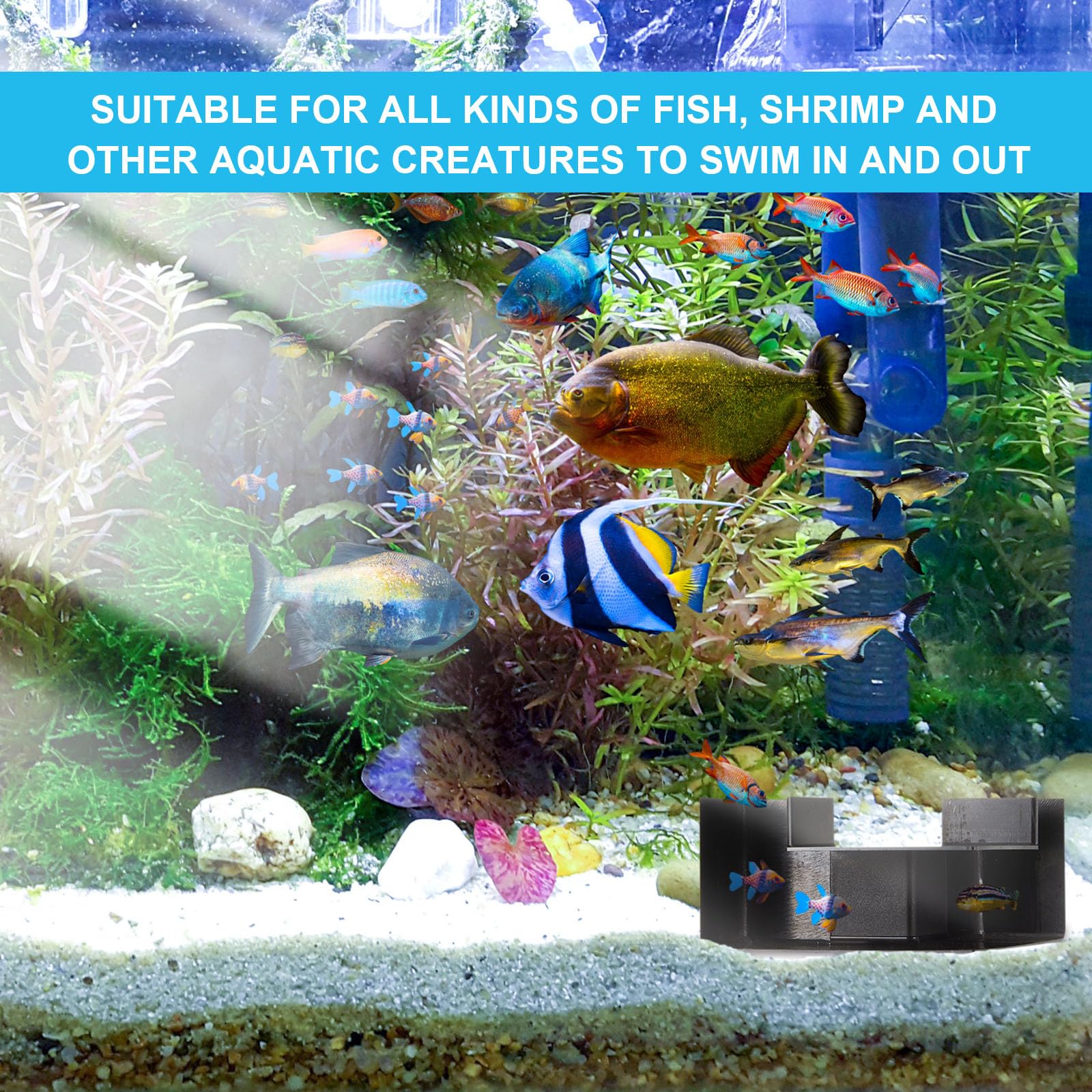 Nuanchu habitat décoratif, tunnel pour poissons, offrant refuge et espace de jeu.