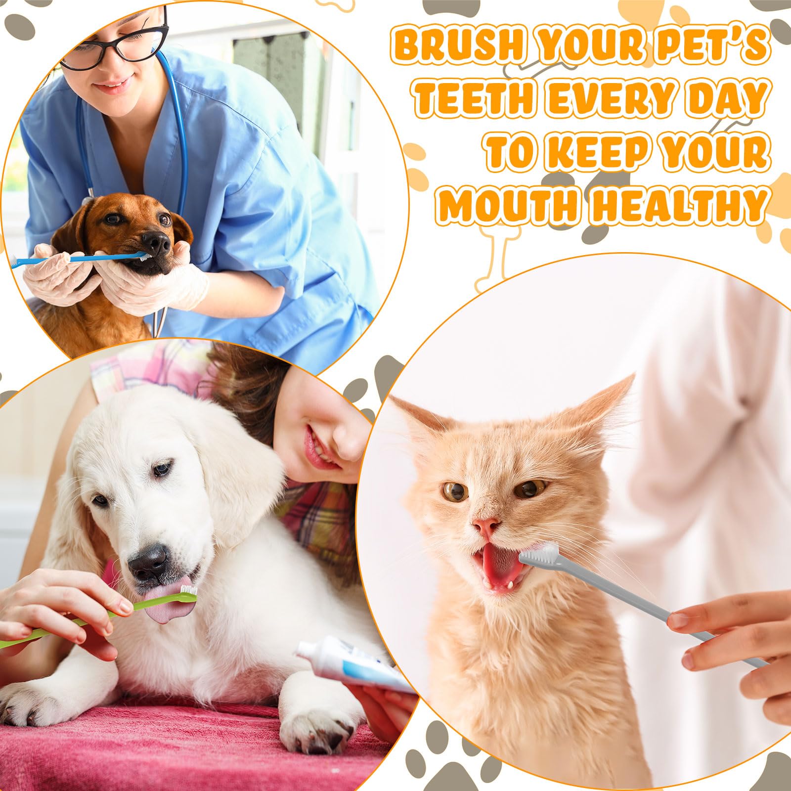 Brosse dentaire Nuenen à poignée longue, accès facile pour chiens et chats.