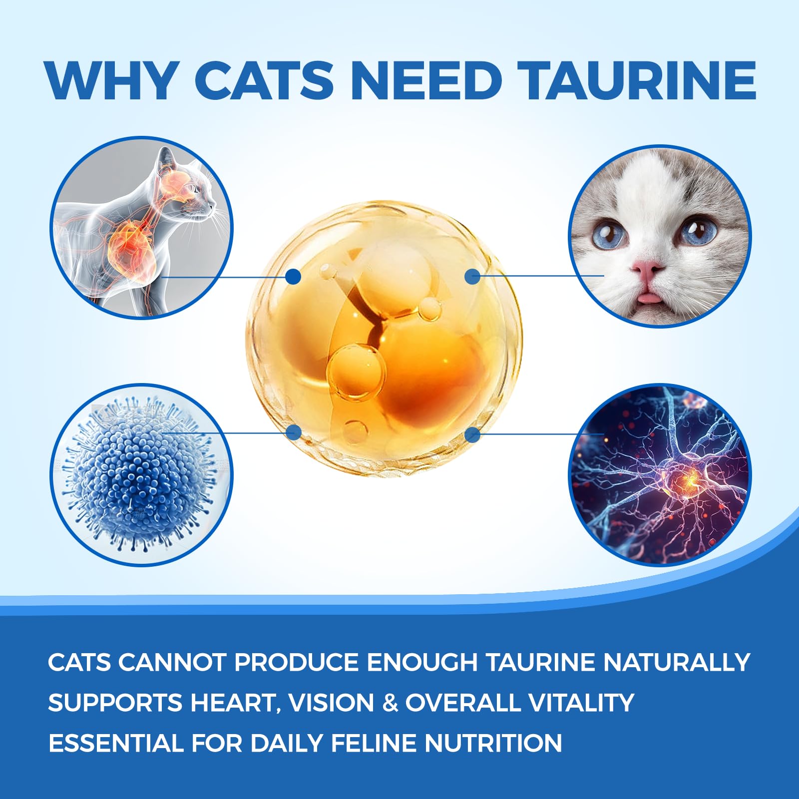 Nukupuns Taurine Poudre Chat : soutien potentiel cœur et vision.