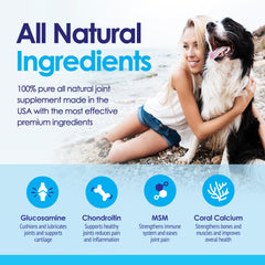 NuLife Glucosamine-Chondroïtine-MSM: mélange riche en minéraux pour les articulations canines.