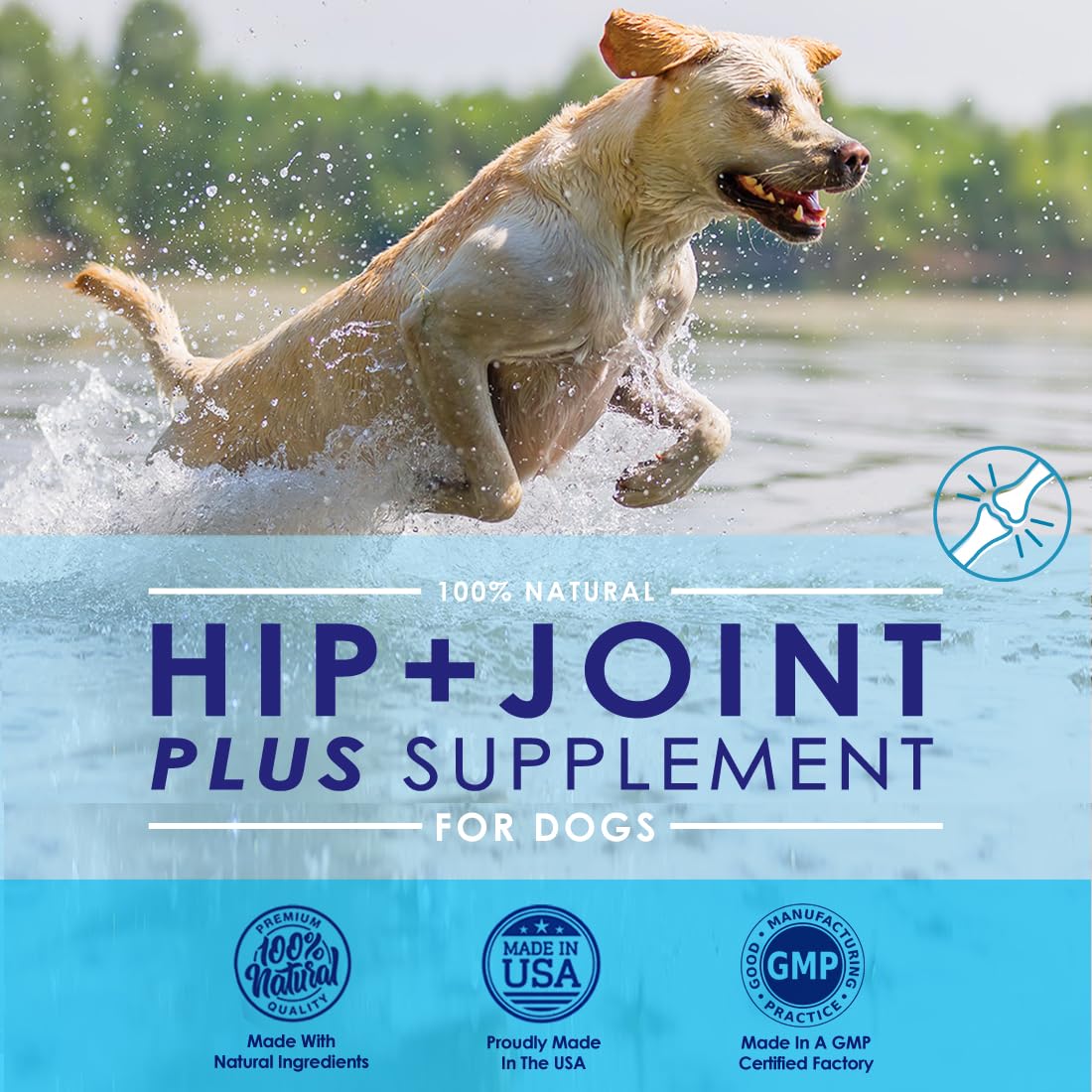 NuLife Glucosamine: doseuse pratique pour saupoudrer sur la nourriture du chien.