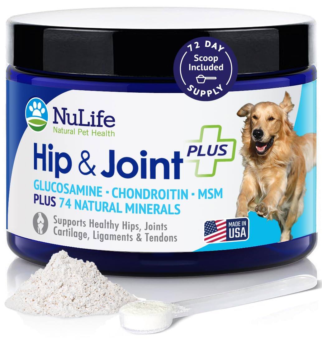 NuLife Glucosamine: poudre pratique en bouteille 6oz prête à soutenir la mobilité du chien.