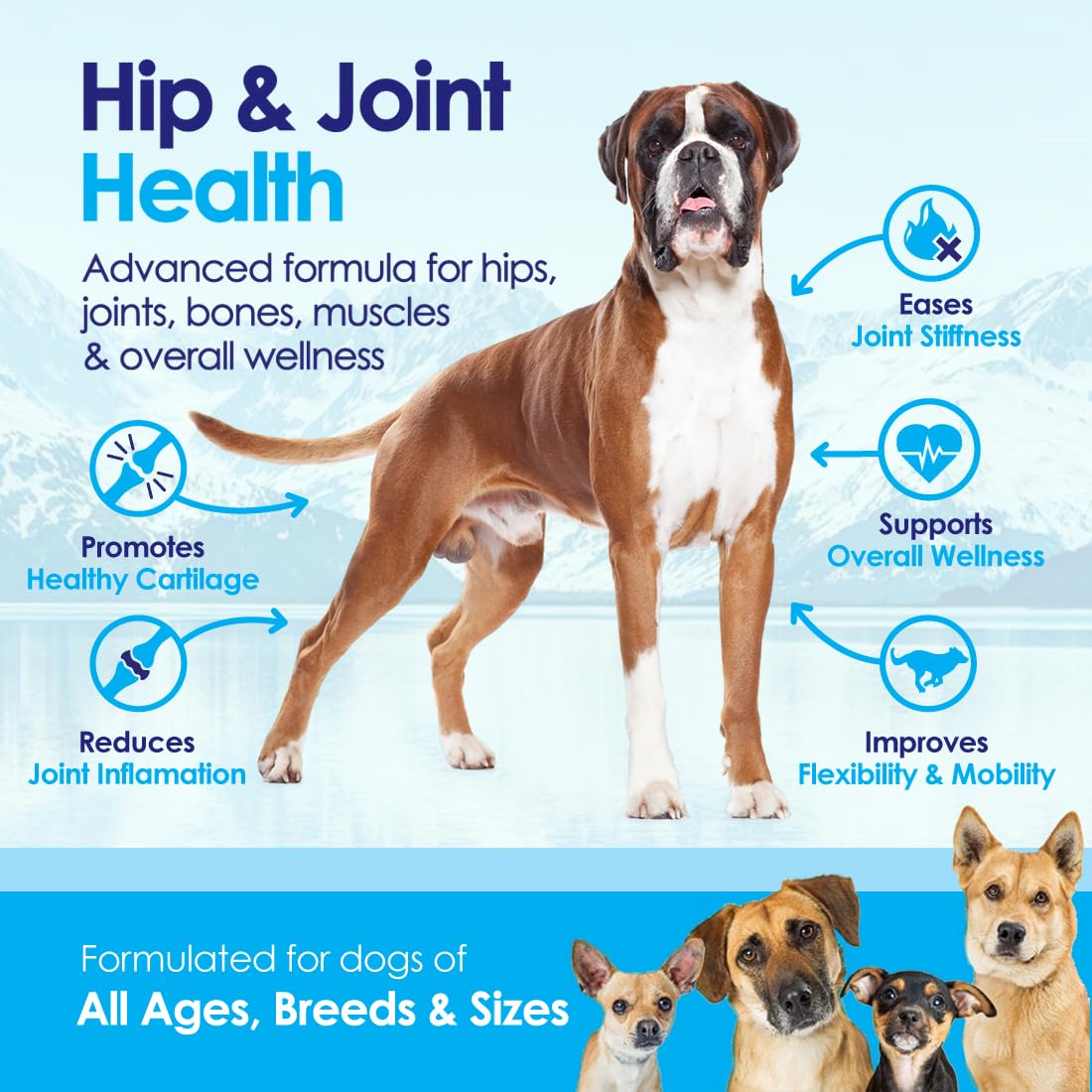 NuLife Glucosamine: saupoudrage sur les croquettes du chien pour soutenir les articulations.