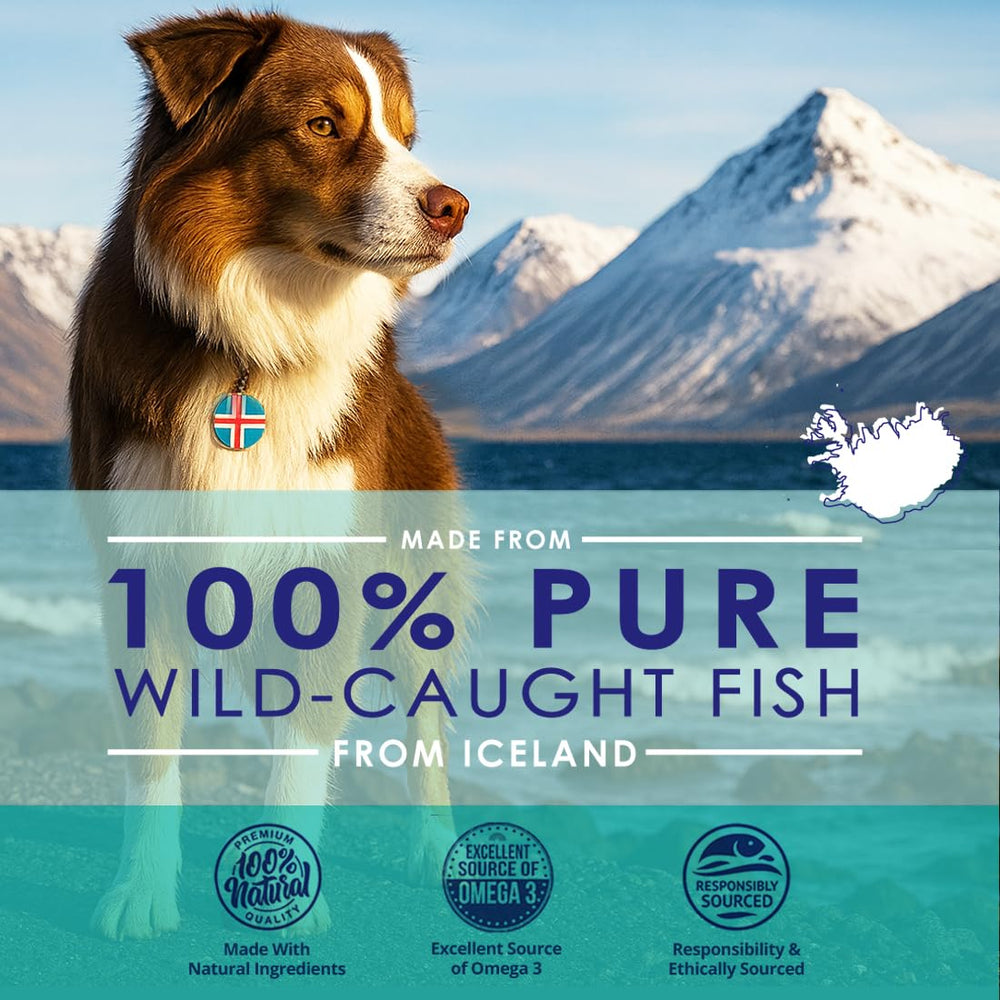 NuLife Oméga3 pour chien — pompe pratique et odeur légère.