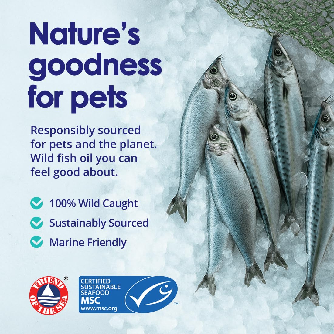 NuLife Huile Poisson Chiens — routine adaptée pour peaux sensibles.