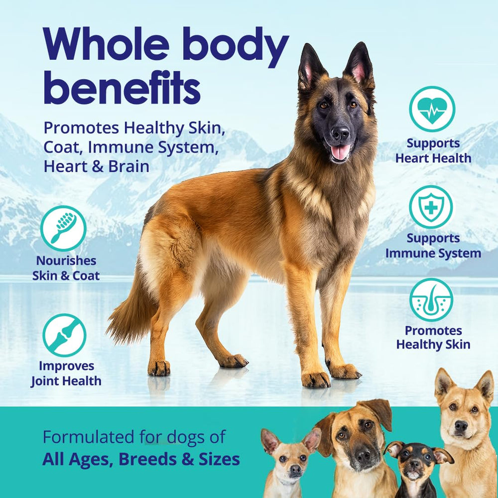 NuLife huile saumon alaskien pour chien – pompe pratique pour servir facilement
