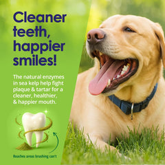 NuLife Poudre Dentaire chien – saupoudrée sur nourriture sans brosse