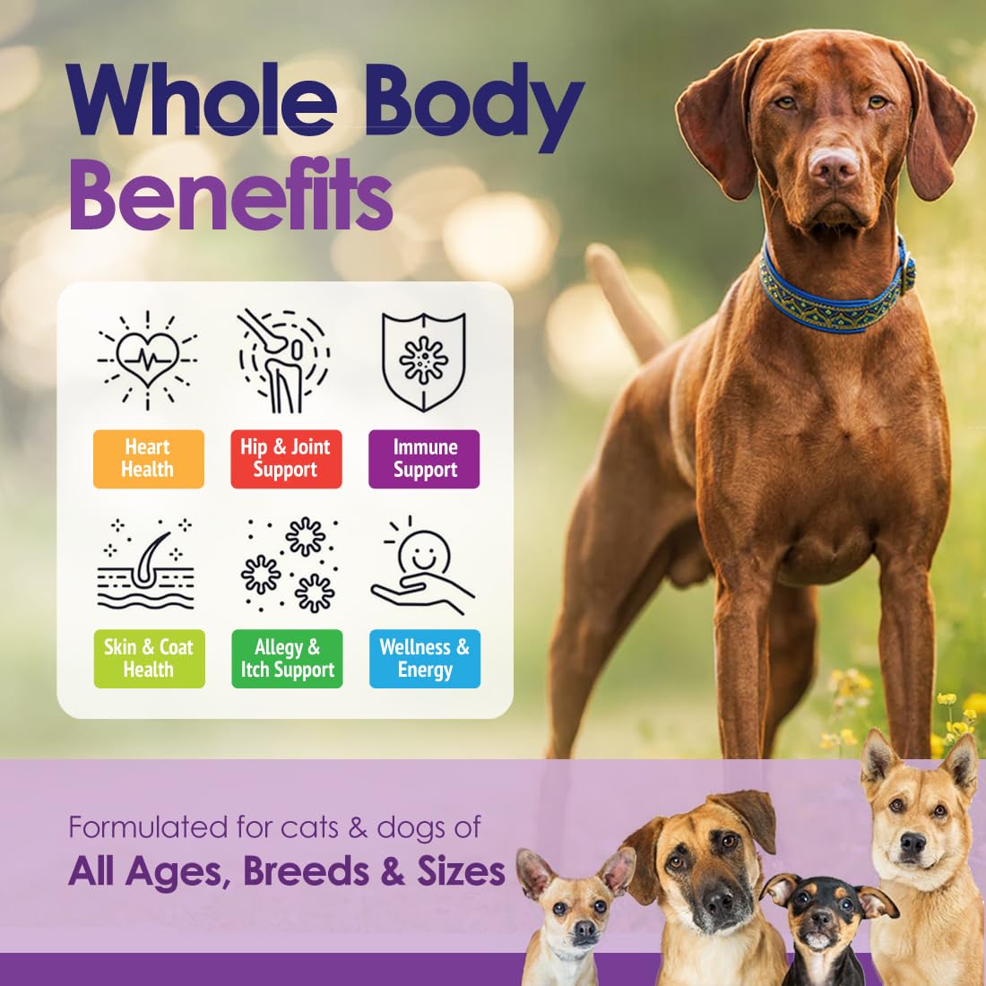 NuLife articulations chiens : soutien potentiel à la mobilité.