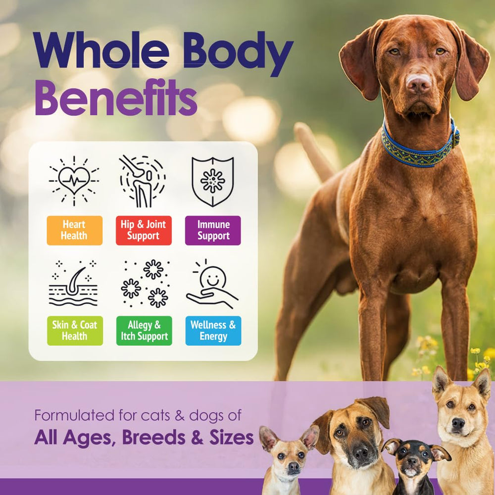 NuLife articulations chiens : soutien potentiel à la mobilité.