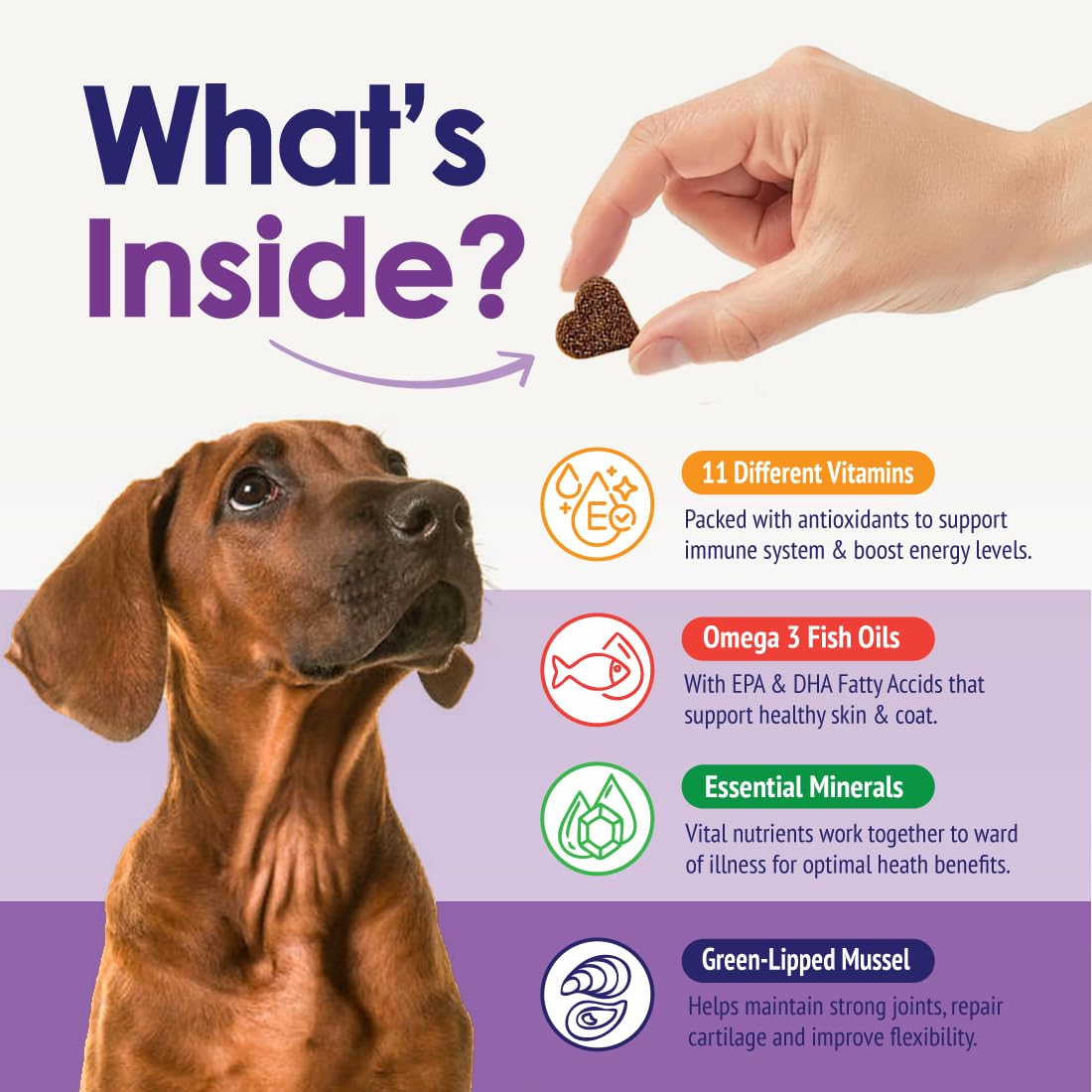 NuLife omega-3-epa-dha chiens : alimentation riche en acides gras.