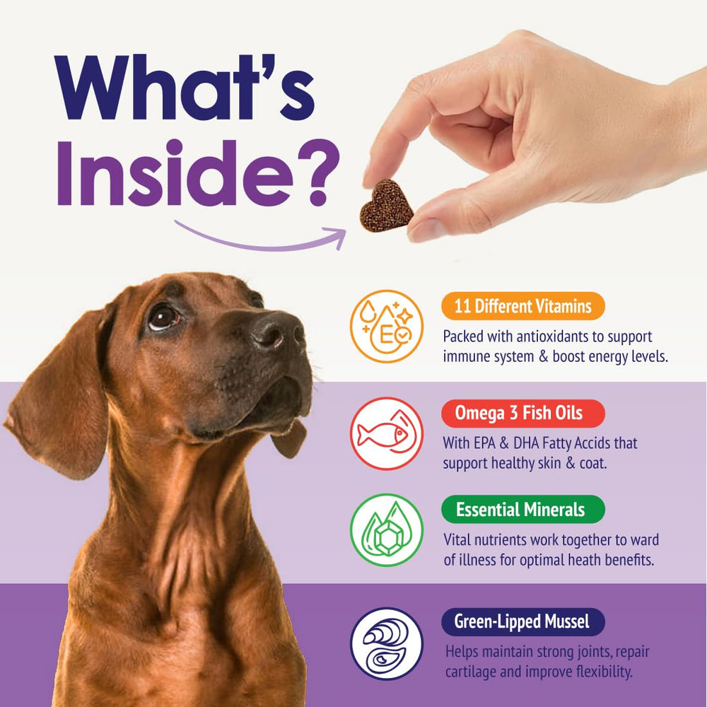 NuLife omega-3-epa-dha chiens : alimentation riche en acides gras.