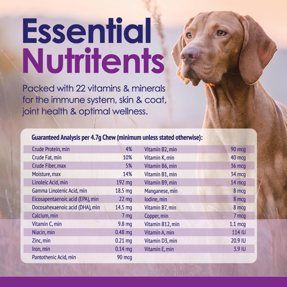 NuLife systeme-immunitaire chiens : soutien potentiel pour chiens actifs.