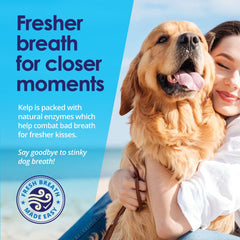 NuLife Poudre Dents Chiens – sans brosse nécessaire pour l’hygiène dentaire