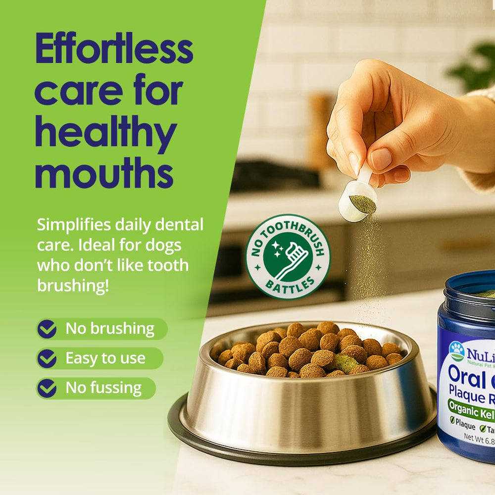 NuLife Poudre Dents Chiens – usage quotidien simple et pratique