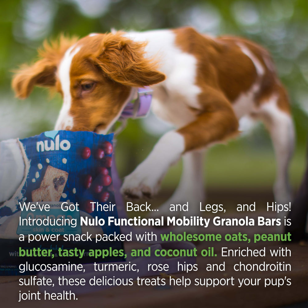 Nulo barres granola functionnelles plan sur l'emballage – absence de sel et sucre, snack sain