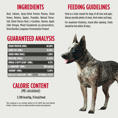 Nulo chien savourant la friandise