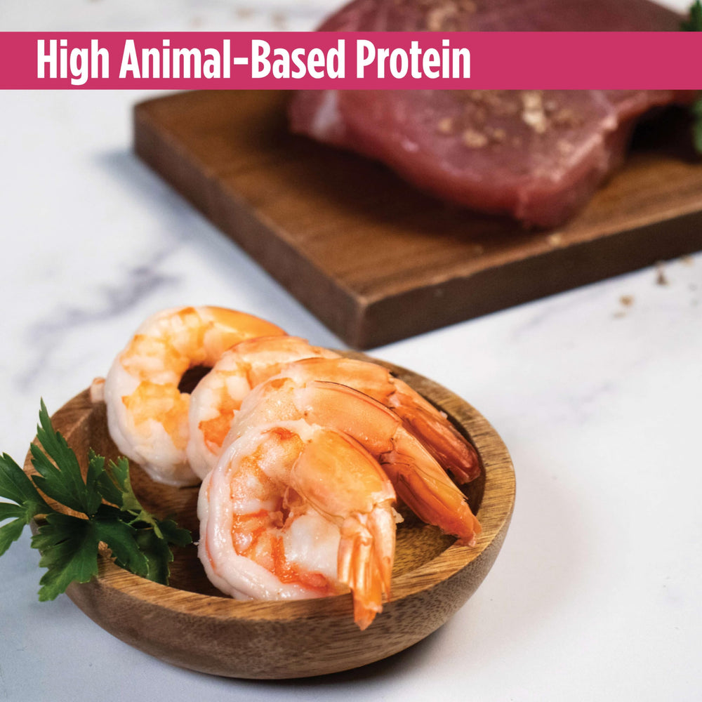 Nulo Freestyle Chat nutrition équilibre peau et pelage