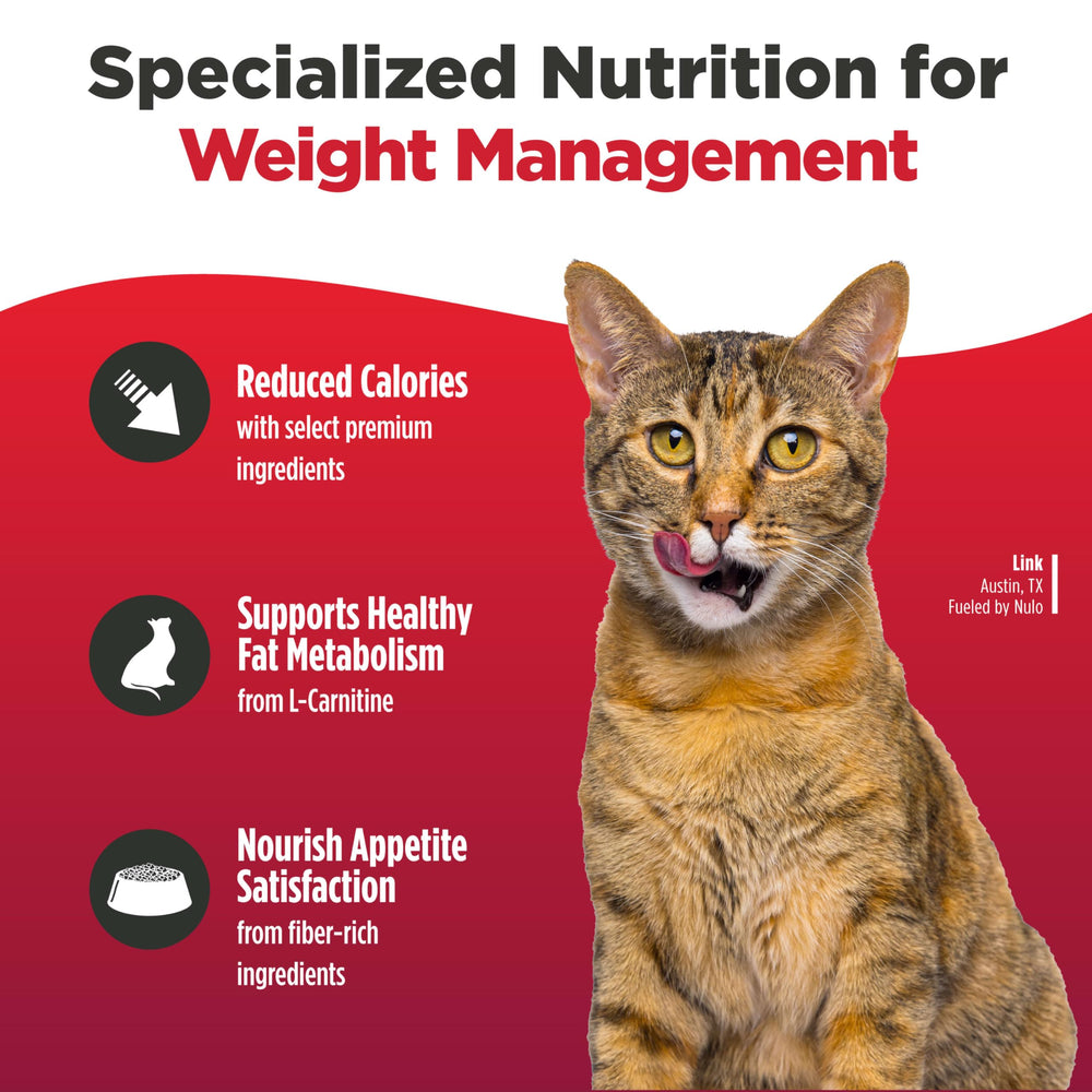 Nulo FreeStyle Chat Trim saumon-lentilles croquettes disc petites pour une mastication facile.