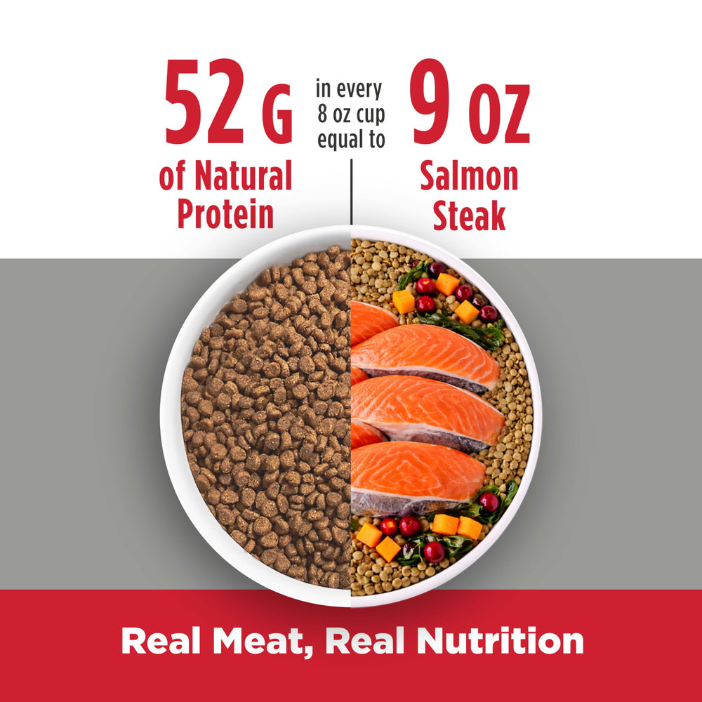 Nulo FreeStyle Chat Trim saumon-lentilles probiotiques BC30 et fibres prébiotiques pour digestion.