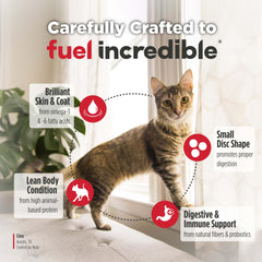 Nulo Freestyle Indoor Chat: probiotiques BC30 et prébiotiques soutiennent digestion et absorption.
