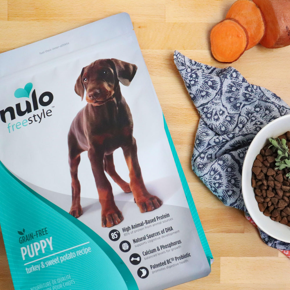 Nulo Freestyle BC30 probiotiques et prébiotiques pour digestion et immunité.