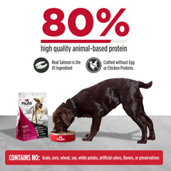 Nulo Freestyle Puppy protéines animales 80% pour muscles.