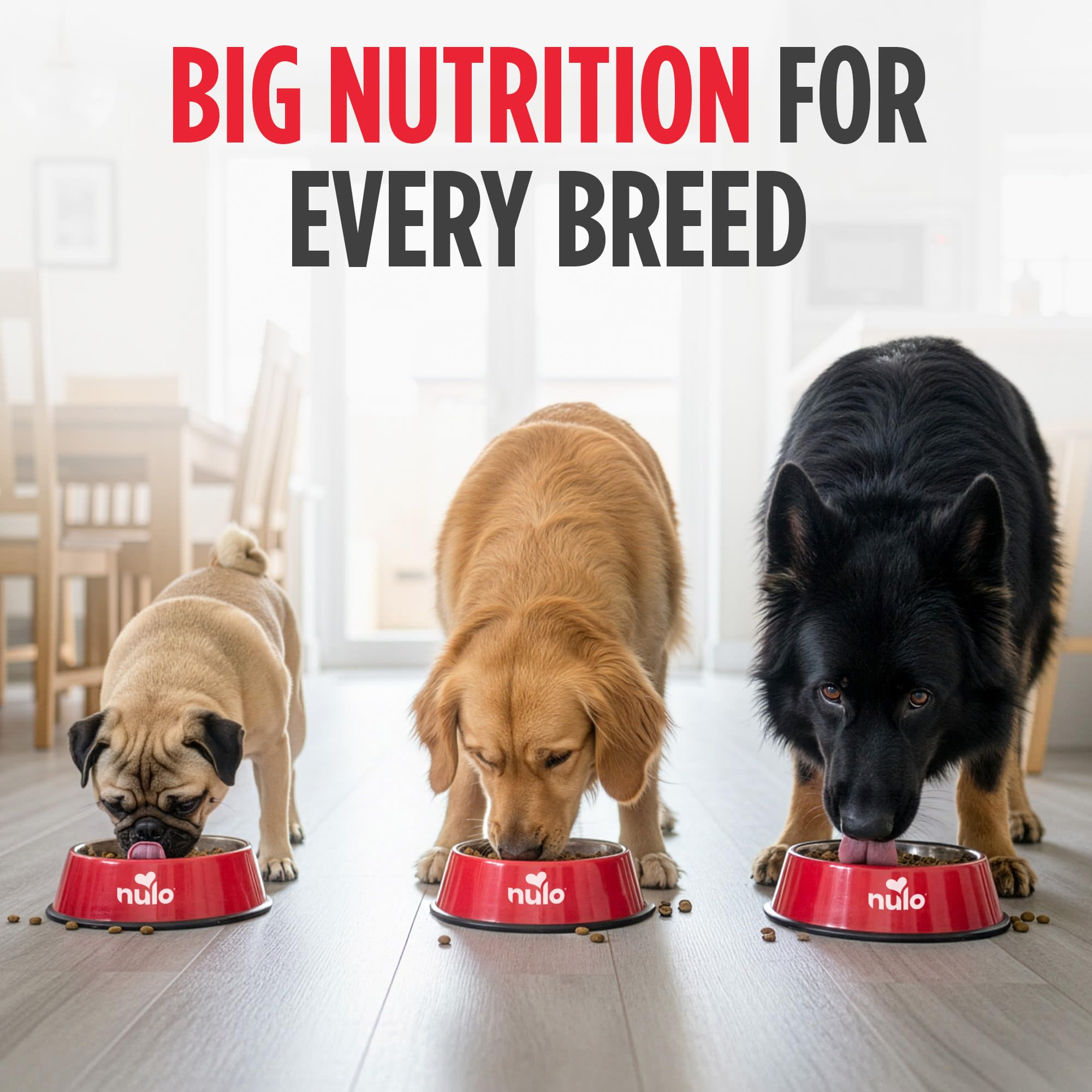 Nulo Freestyle sans céréales: recette adaptée pour chiens sensibles.