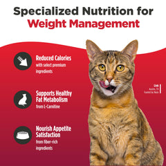 Croquettes disque Nulo Freestyle favorisant une mastication adaptée et digestion efficace.