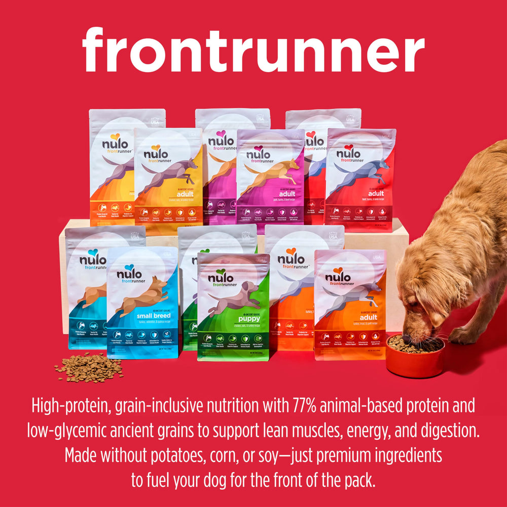 Nulo Frontrunner chiot – sans pomme de terre ni tapioca.
