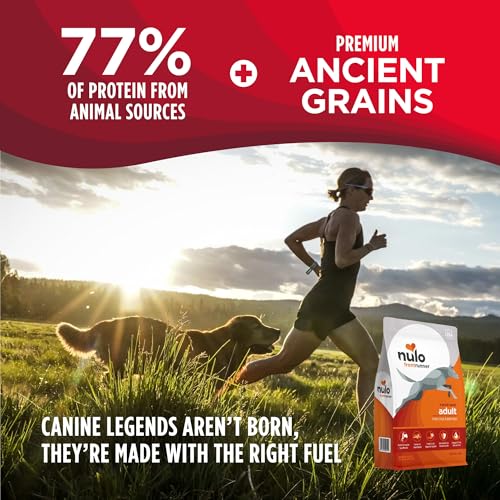 Nulo Frontrunner grains anciens: épeautre, riz brun, orge et avoine pour énergie soutenue.