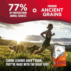 Nulo Frontrunner grains anciens: épeautre, riz brun, orge et avoine pour énergie soutenue.