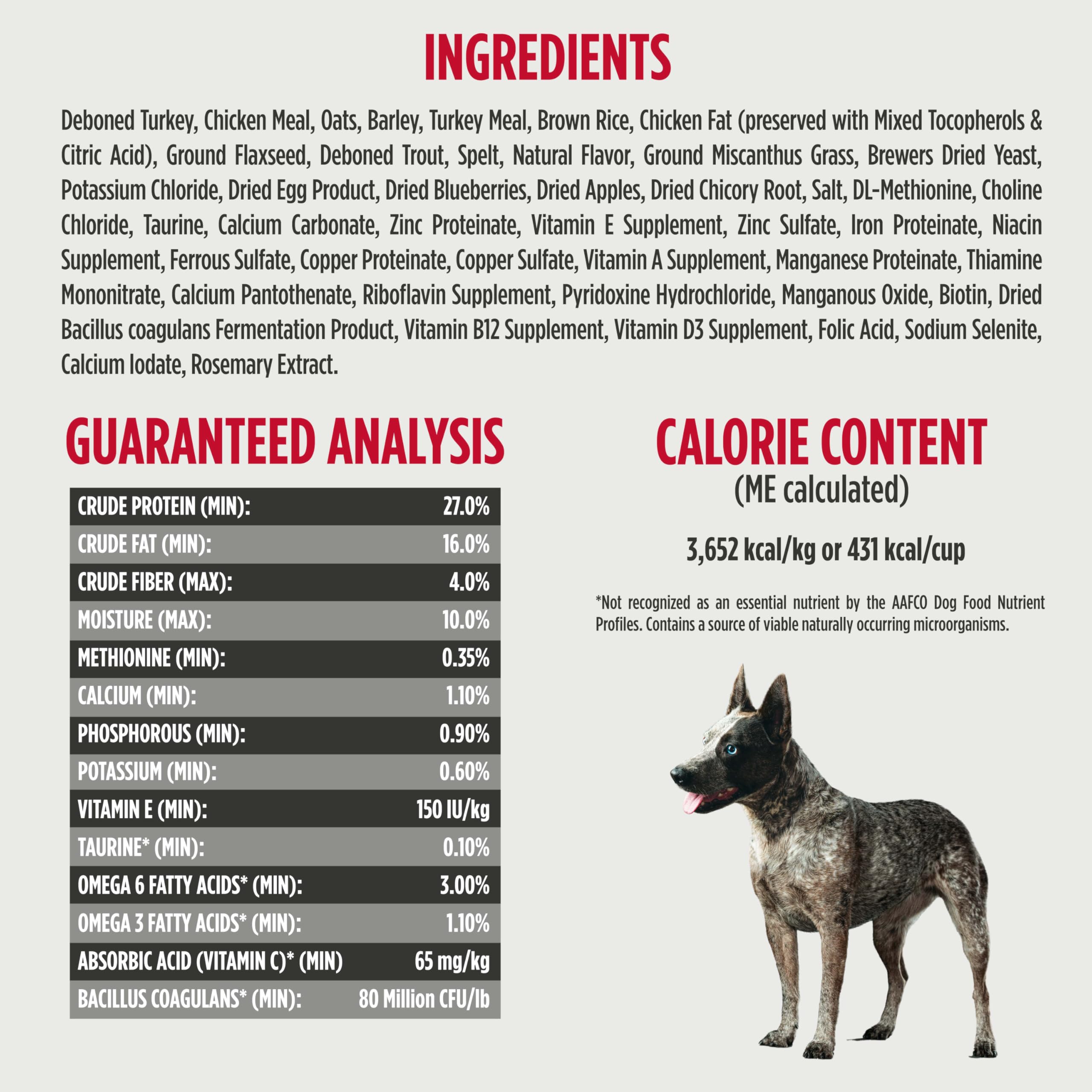Nulo Frontrunner protéines animales premium: dinde et truite.