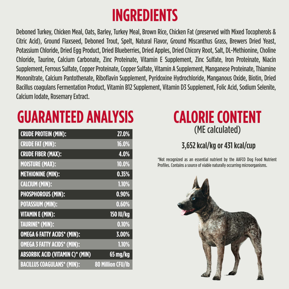 Nulo Frontrunner protéines animales premium: dinde et truite.
