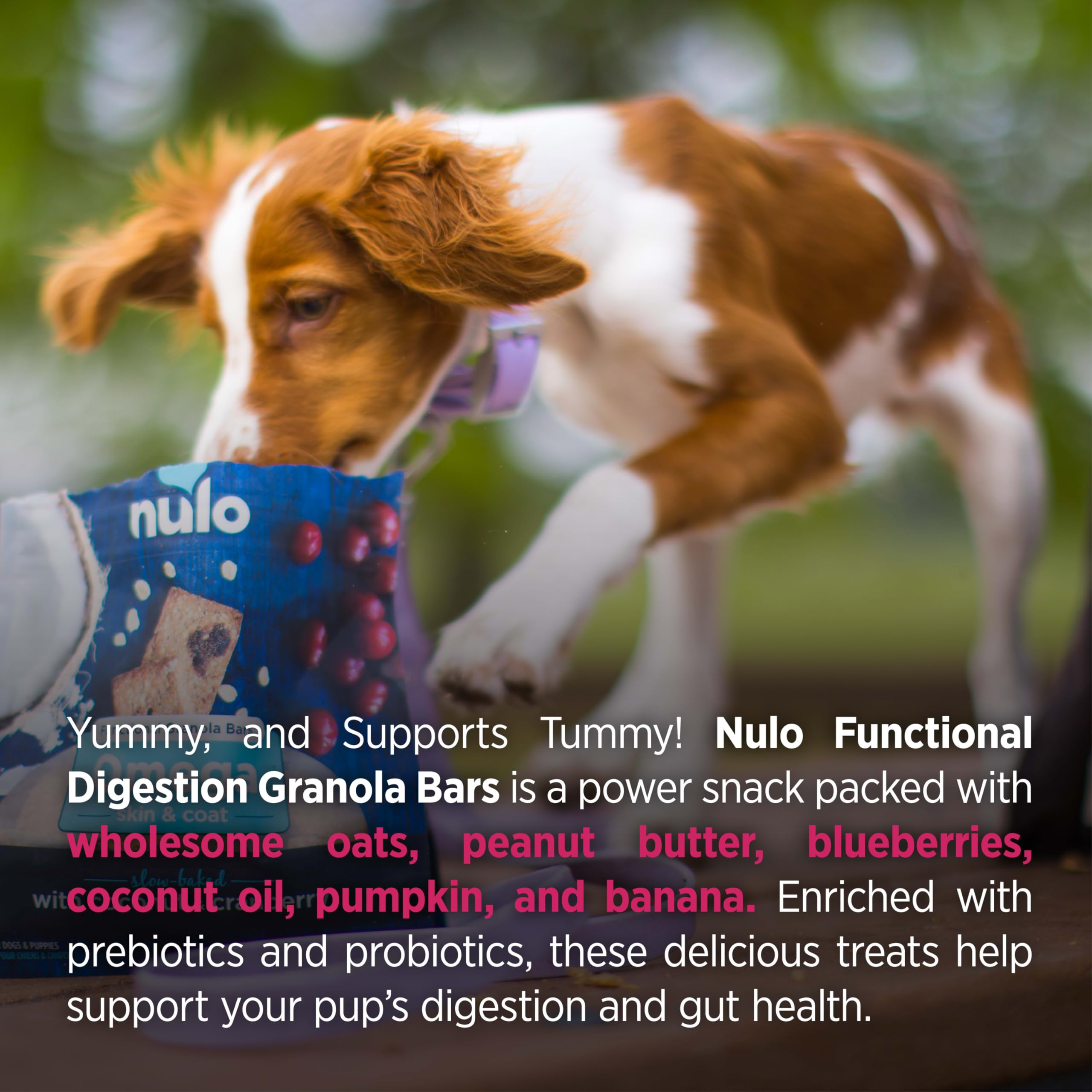Nulo Granola Bars – snack pratique après l’entraînement pour chien.