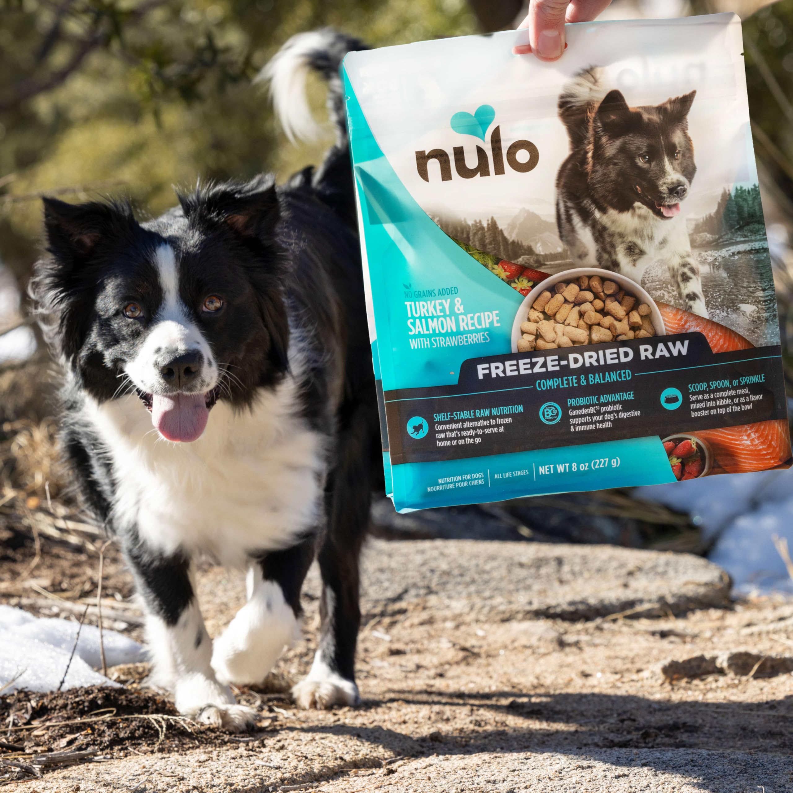 Nulo plat complet sur kibble, plus pratique pour varier les repas.