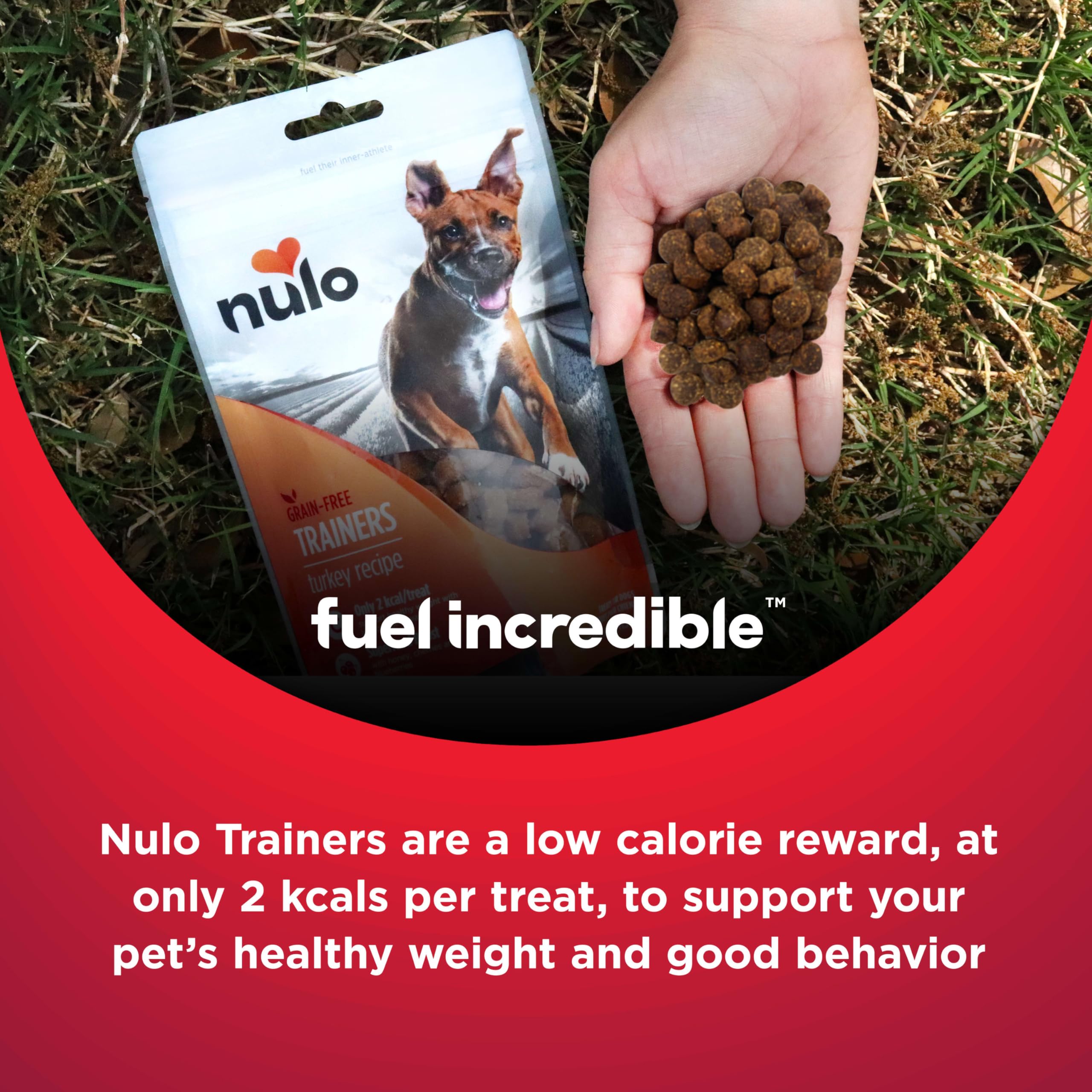 Nulo Trainers Dinde – fabriqué aux États‑Unis, qualité et sécurité.