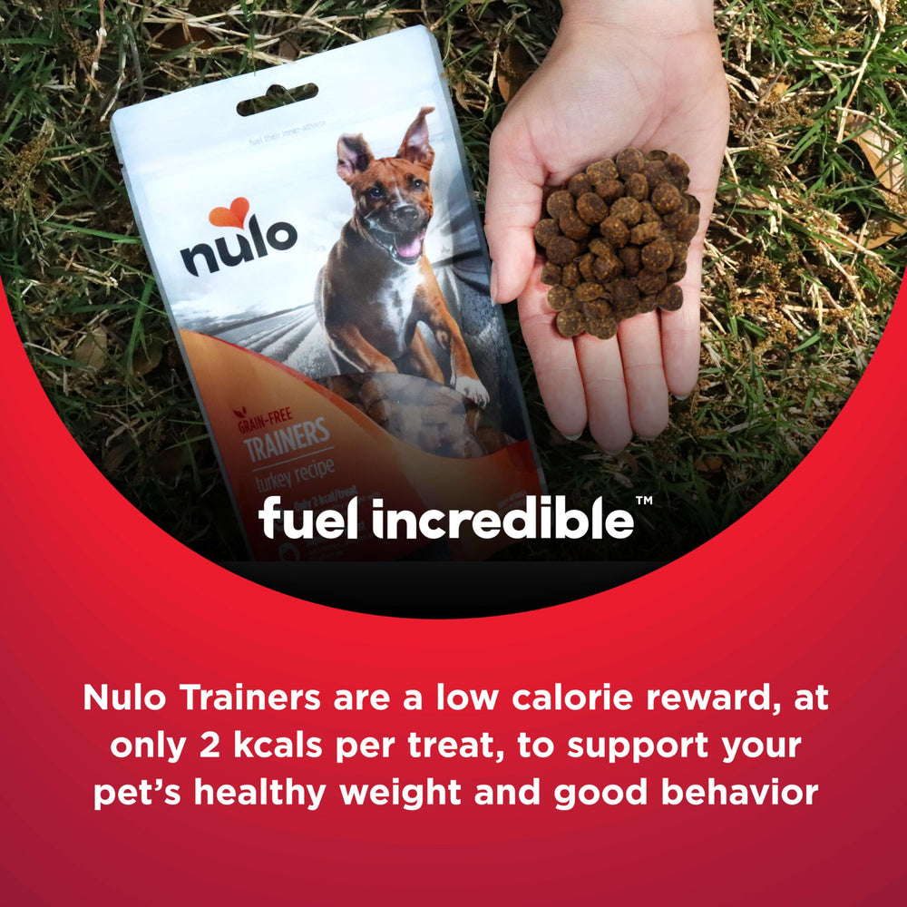 Nulo Trainers sans additifs colorants arômes – ingrédients simples et sûrs.