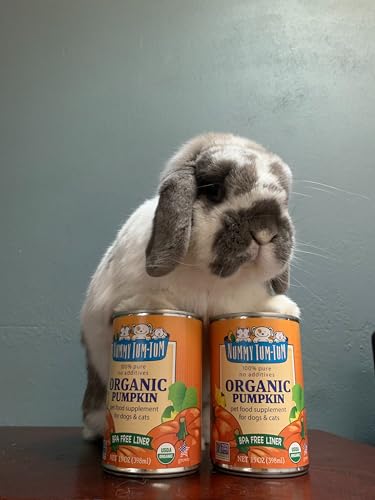Parfum neutre et appétence possible pour chats avec Nummy Tum Tum courge.