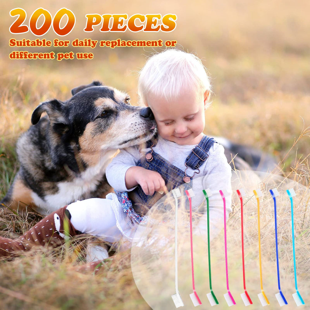 Nuogo 8 couleurs distinctives pour différencier les animaux et usages.