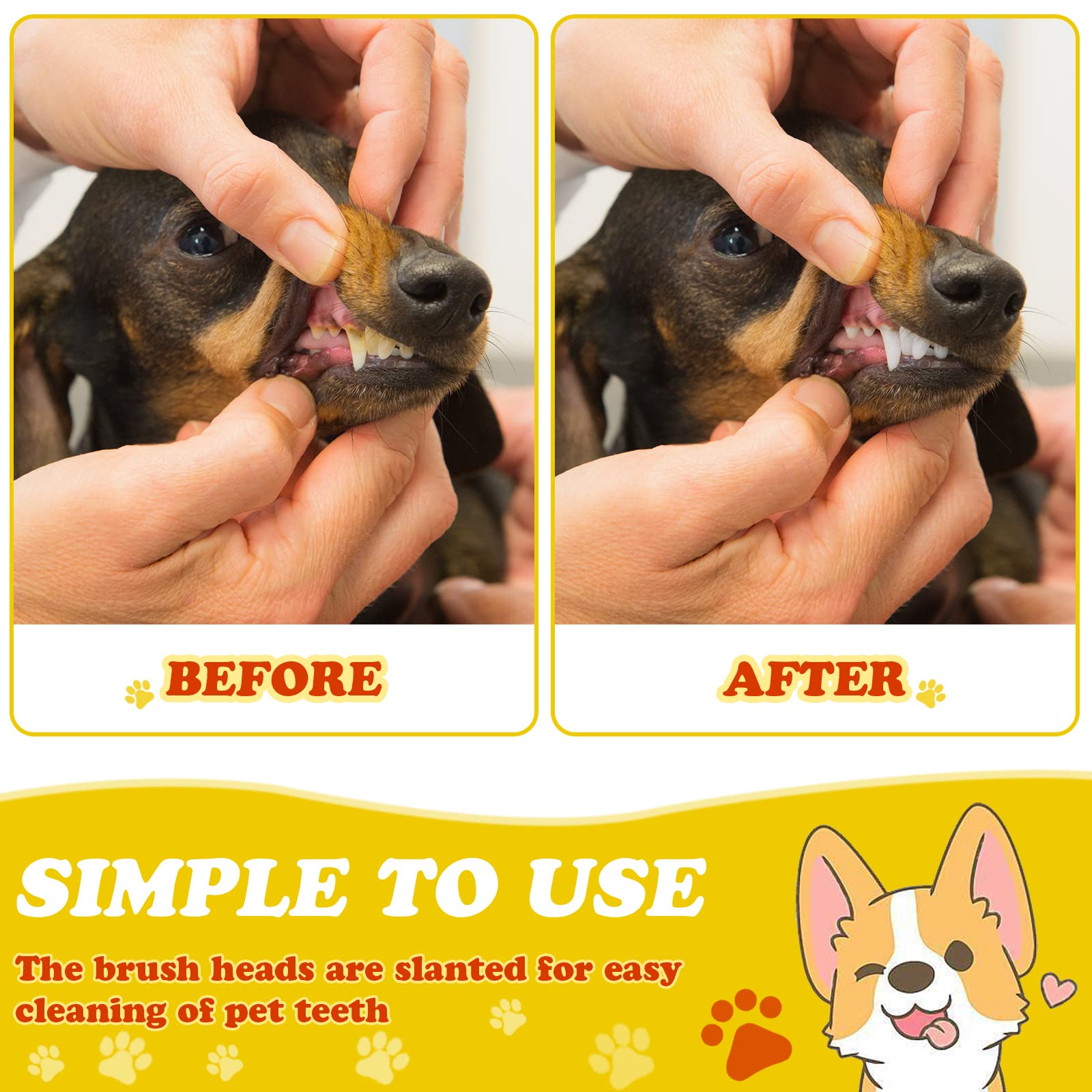 Nuogo brosses quotidiennes pour chiens et chats, nettoyage sans effort.