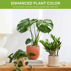 Grapier décoratif NUPICK pour terrarium et vase