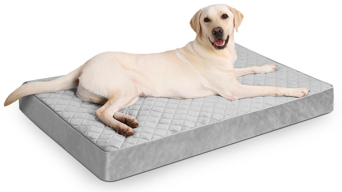 Lit orthopédique NUPIDA XL, enveloppe imperméable, repos sain et durable pour chien.