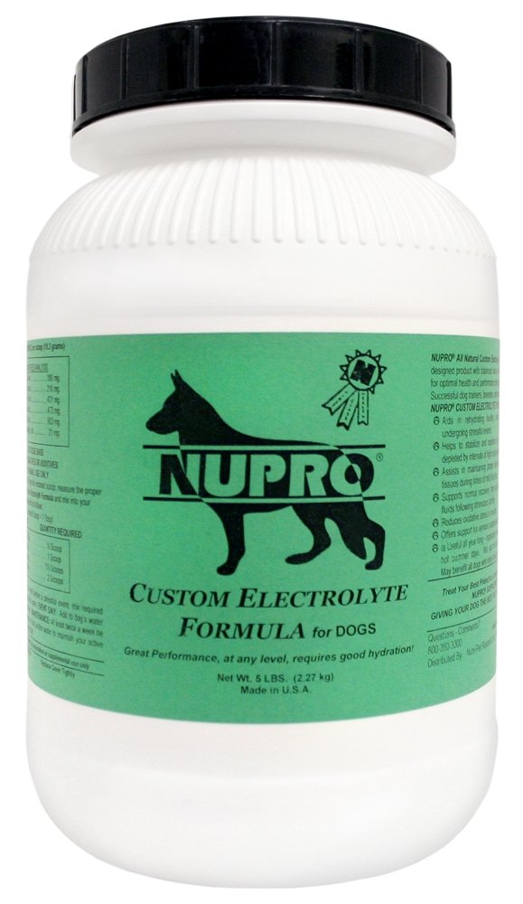 Flacon d'électrolytes Nupro pour chiens, favorisant hydratation et récupération après l'effort