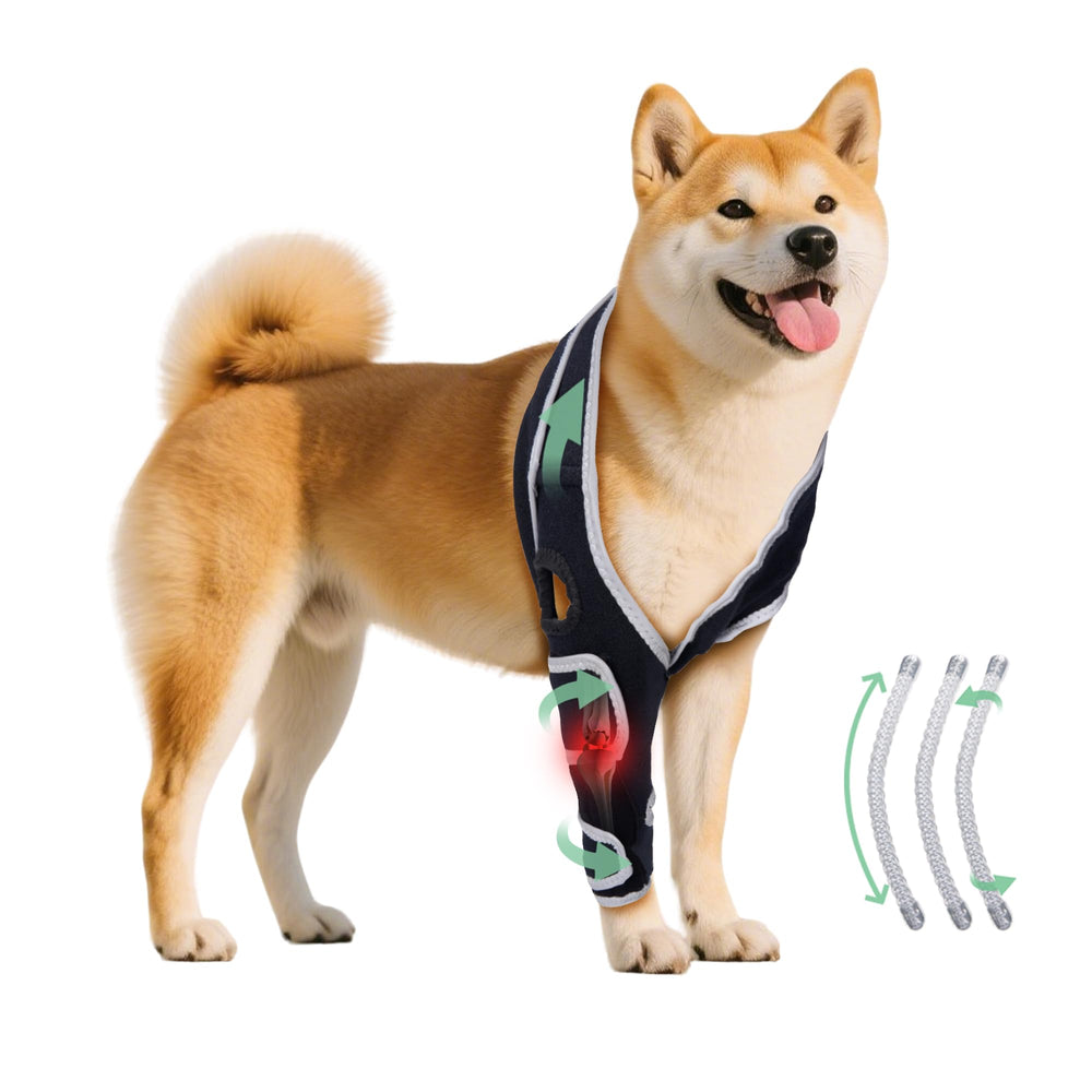 Nurcazo brace genou chien L soutient les articulations arrière pour un mouvement plus sûr.