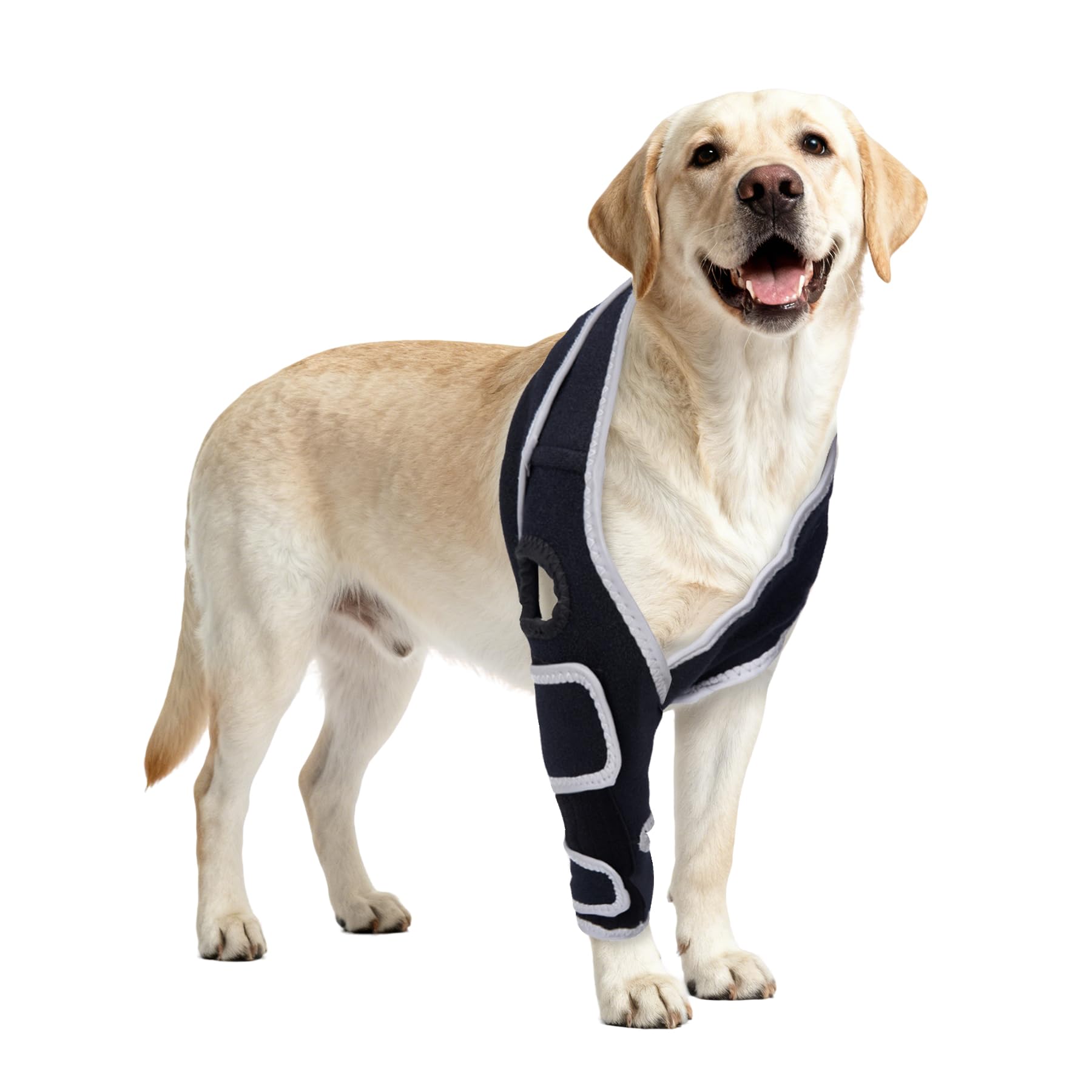Attelle Nurcazo pour genou arrière du chien offrant une stabilité renforcée.
