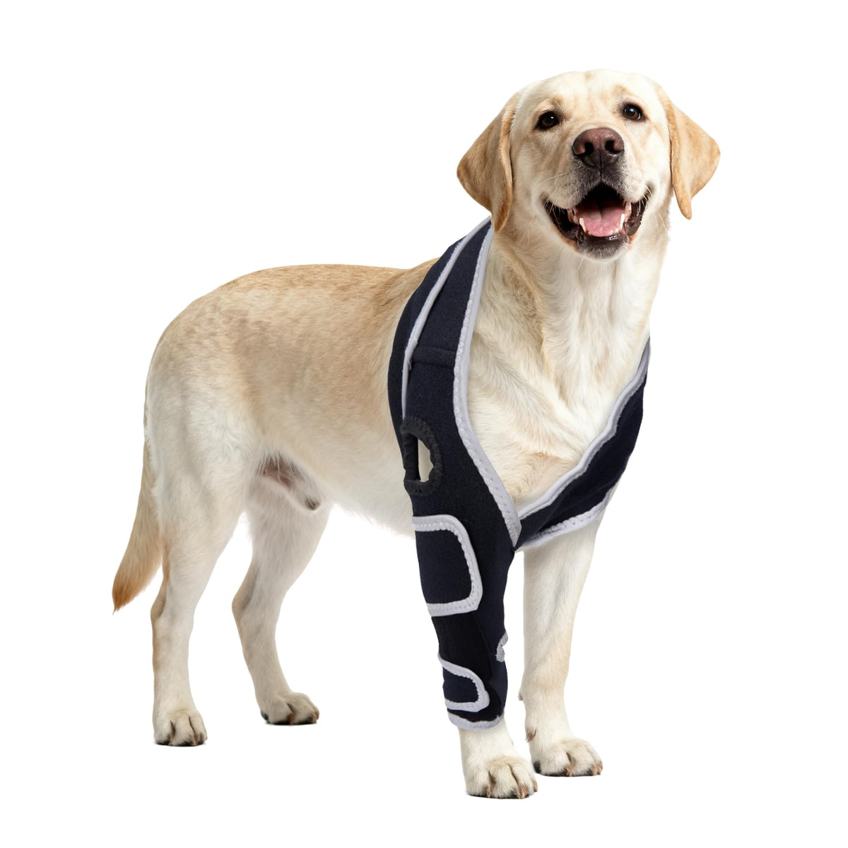 Attelle Nurcazo pour genou arrière du chien offrant une stabilité renforcée.