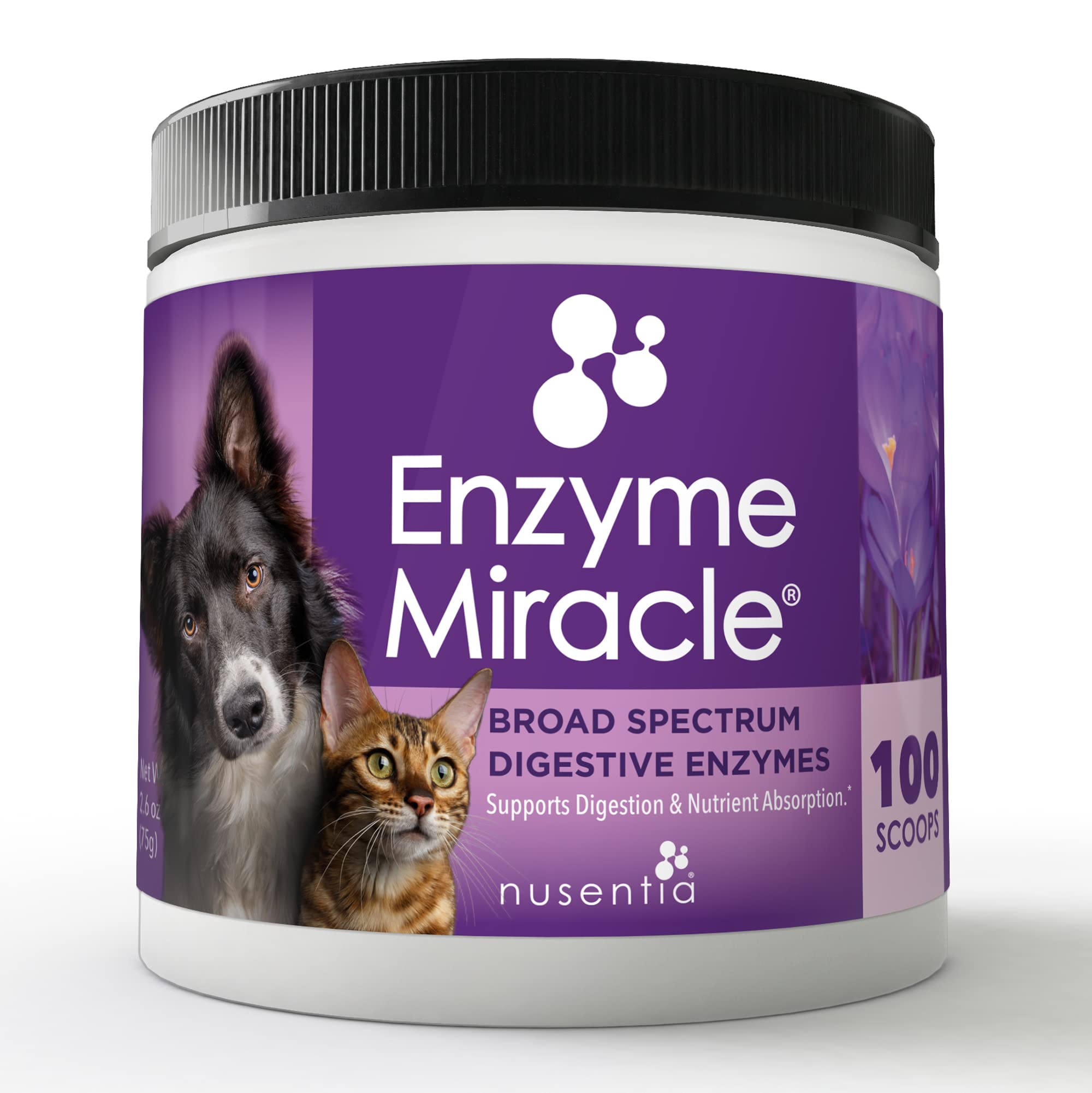NUSENTIA Enzyme Miracle — poudre facile à mélanger pour chiens et chats.