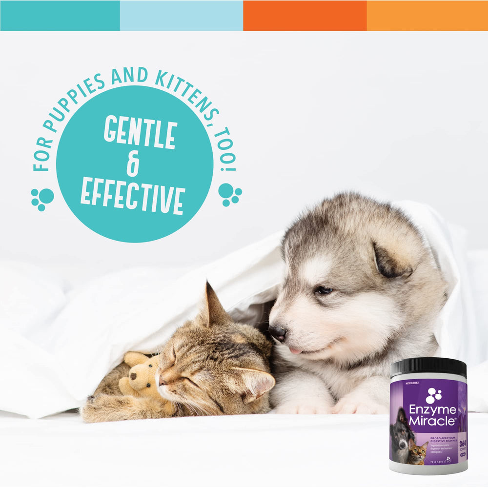 NUSENTIA Enzyme Miracle améliore la peau et le pelage des chiens et chats.